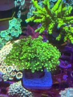 IMG_0858.jpeg