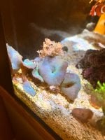 IMG_3691.jpeg