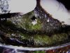 dsc04553.jpg