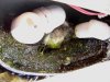 dsc04556.jpg