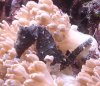 DSC07646.JPG