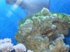 hairywithblenny.jpg