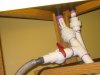 sump light-bulkheads sm.jpg
