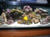 2008_0310thegoodstuff0073.JPG