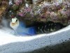 2008_0310thegoodstuff0049.JPG
