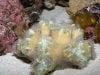 2008_0310thegoodstuff0062.JPG