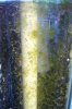 algea 2.JPG