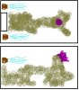 tank.JPG