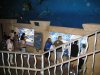 IMG_4667.JPG