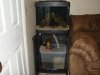 DSC07875.JPG