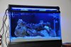 DSC_1941.JPG