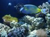 new_DSC00470.jpg