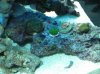 120_color4.jpg