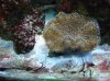 DSC00510.jpg
