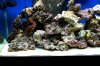 DSC_0165-1.jpg