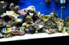 DSC_0166-1.jpg
