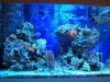 100_2969.jpg