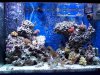 100_2963.jpg