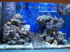 100_2970.jpg