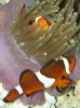 DSC00771.jpg