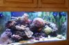 DSC01563.jpg