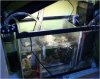 29sump.jpg
