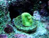 DSC_0014-1.jpg