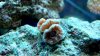 DSC_0012-1.jpg