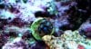 DSC_0011-1.jpg