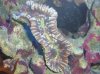 100_1167.jpg