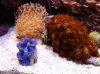 DSC00105.jpg