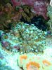 DSC0002911.jpg