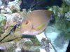 gabby and corals 024.jpg