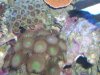 100_1285.jpg