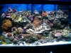 100_2919.jpg