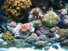 100_2912.jpg