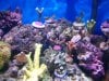 100_2916.jpg