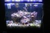 led tank 100.jpg