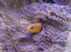 paul_fish.jpg