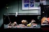 IMG_1801ed.JPG