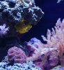__DSC_2774v2.jpg