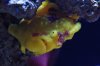 __DSC_2797v2.jpg