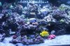 Tank Tour-003-Nick_03 (Custom).JPG