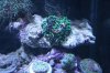 Tank Tour-009-Nick_09 (Custom).JPG