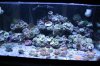 Tank Tour-012-Nick_12 (Custom).JPG