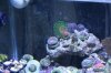 Tank Tour-013-Nick_13 (Custom).JPG