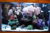 Tank Tour-023-Yanni_01 (Custom).JPG