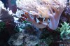 Tank Tour-024-Yanni_02 (Custom).JPG