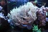 Tank Tour-028-Yanni_06 (Custom).JPG