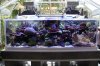 Tank Tour-030-Paul_01 (Custom).JPG